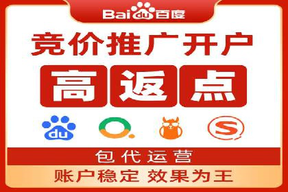 百度推广精准定位，案例深度解析